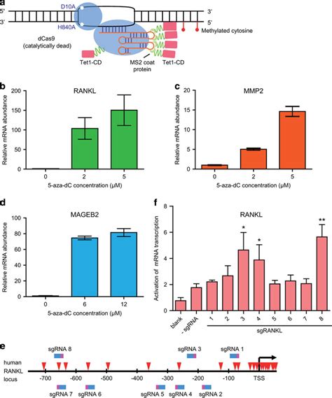 Crispr Cas Based Targeted Dna Demethylation System Design A