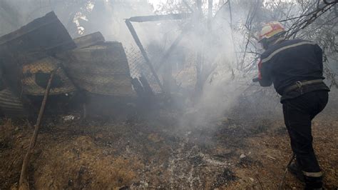 Los incendios forestales arrasan el este de Argelia y el oeste de Túnez