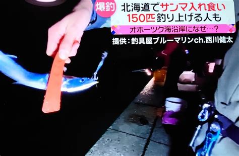 今や高級魚のサンマがオホーツク海沿岸部で入れ食い状態 岡ちゃんの釣り馬鹿日記