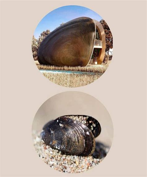 There Are Two Pictures One Has A Shell And The Other Has A House In It