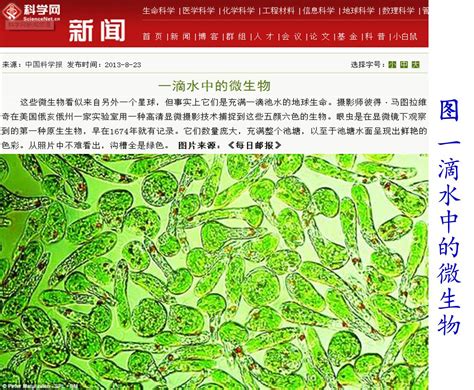 科学网—环境微生物与人类之关系 王从彦的博文