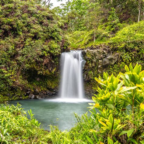 Pua A Ka A Falls In Haiku Hawaii MU 8 Photos