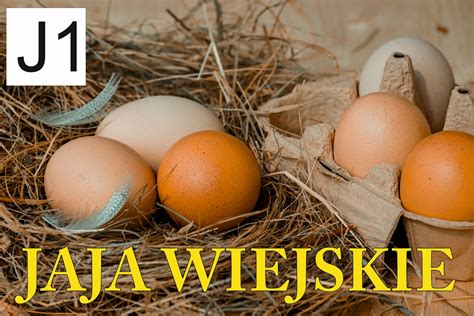 Baner Plandeka Jaja Jajka Wiejskie X Paleta Cena Opinie