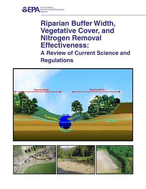 Pdf Riparian Buffer Width Vegetative Cover And Nitrogen Removal