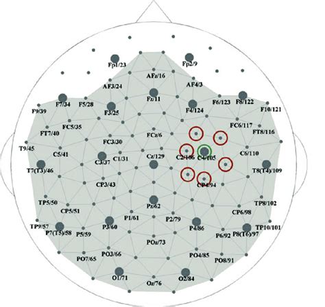 Head Diagram Of Eeg Sensor Positions And Labeling The Diagram Shows