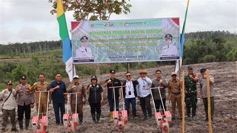 Jaya Efrens Tanam Perdana Jagung Hibrida