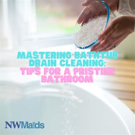 Mastering Bathtub Drain Cleaning Tips For A Pristine Bathroom Nw Maids