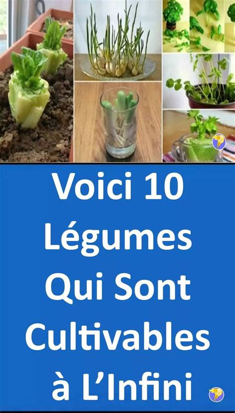 L Gumes Que Vous Pouvez Cultiver Pour Toujours Jardin Permaculture