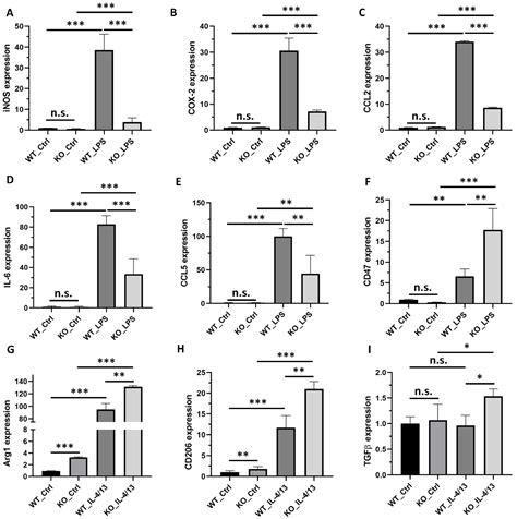 Ijms Free Full Text The Role Of Interferon Regulatory Factor 1 In