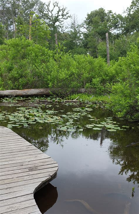 Houston Arboretum & Nature Center – DearTexas,