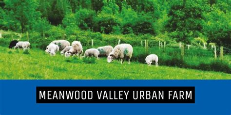 Meanwood Valley Urban Farm - THAT LEEDS MAG