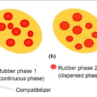 Schematic Diagram Of Dispersed And Continuous Phases In Rubber Rubber