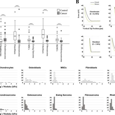 Cytoskeleton Structure In Musculoskeletal Cancer Lines And Healthy