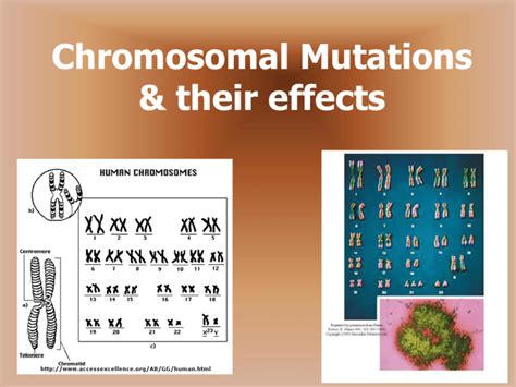 Chromosomal Mutations