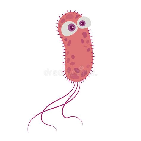 Escherichia Coli Structure Diagram Stock Vector Illustration Of