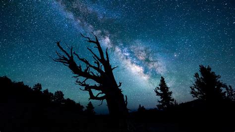 Los Cielos M S Estrellados De Michael Shainblum Spanish China Org Cn