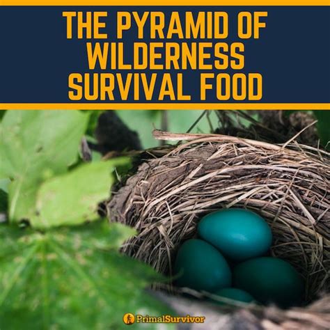 The Pyramid of Wilderness Survival Food | Wilderness survival, Survival ...