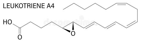 Leukotriene A Lta Molecule Skeletal Formula Stock Vector