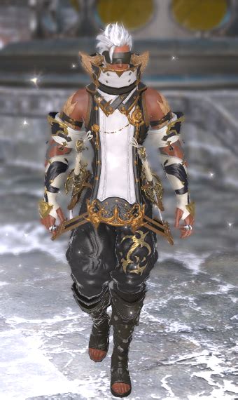 Flashy Ninja | Eorzea Collection