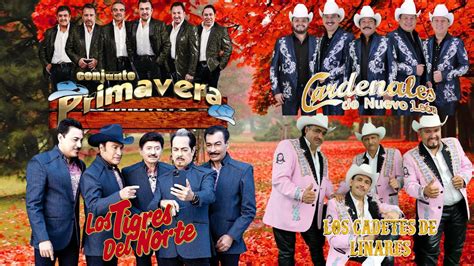 Los Cadetes De Linares Los Tigres Del Norte Cardenales Conjunto