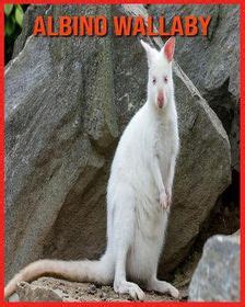 Albino Wallaby: Amazing Photos & Fun Facts Book About Albino Wallaby ...