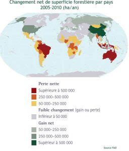 LA DEFORESTATION Dans Le Monde Statistiques Nombre D Hectares De