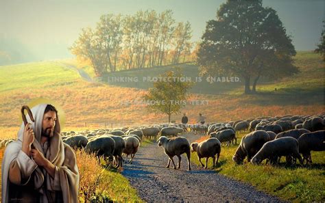 Jesus And Sheep Artwork