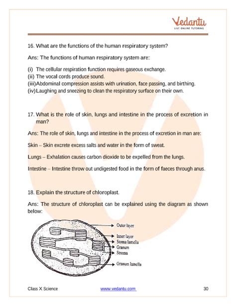 Cbse Class Science Chapter Life Processes Important