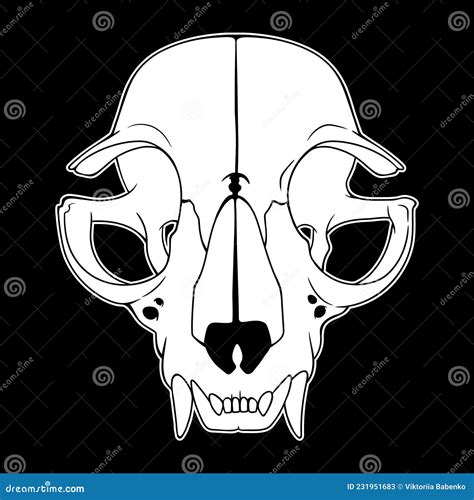 animal skull drawing 11