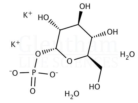 A D Glucose 1 Phosphate Dipotassium Salt Hydrate 7W GC2268