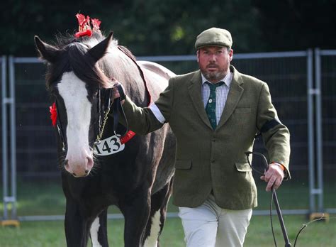 Best Photos From The Romsey Show Daily Echo