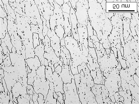 Microstructure of low-carbon steel after SPD Slika 1: Mikrostruktura... | Download Scientific ...