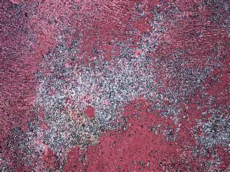 texture - painted concrete Free Photo Download | FreeImages