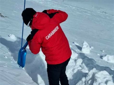 L Impegno Dei Carabinieri Forestali Del Lazio A Difesa Dellambiente E