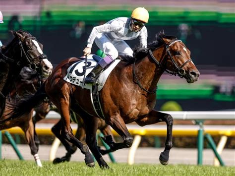 【日本ダービーレース後コメント】ドウデュース武豊騎手ら 競馬ニュース Netkeiba