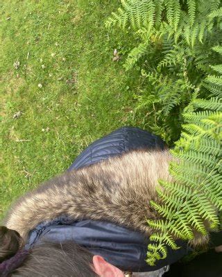 Devon Plymouth Slut Porn Pictures XXX Photos Sex Images 4027538 PICTOA