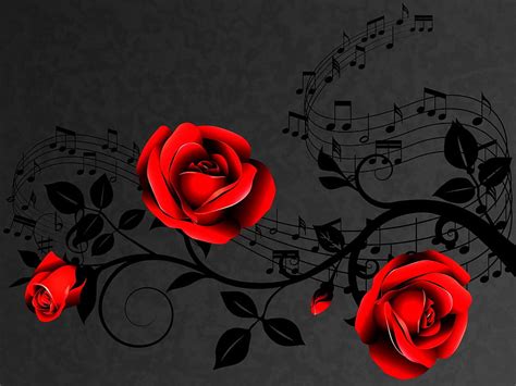 Rose Roses Music Red Roses Black And White Hd Wallpaper Pxfuel