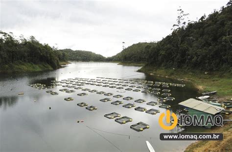 Tanque Rede Gaiolas Para Criar Peixes Em Tanque Rede Para Piscicultura