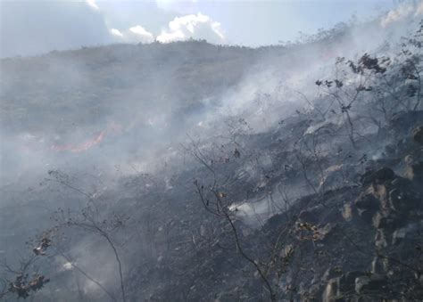 Más De 20 Hectáreas De Tierras Fueron Afectadas Por Cuatro Incendios