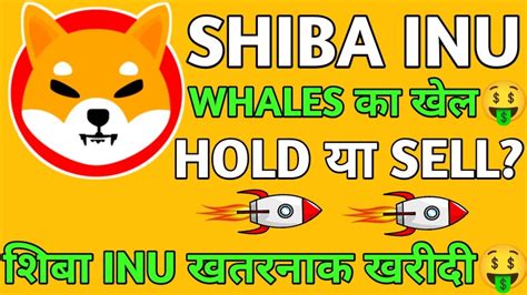 SHIBA INUWHALES क खलHOLD कर य SELL GOOD NEWS SHIBARMY shiba