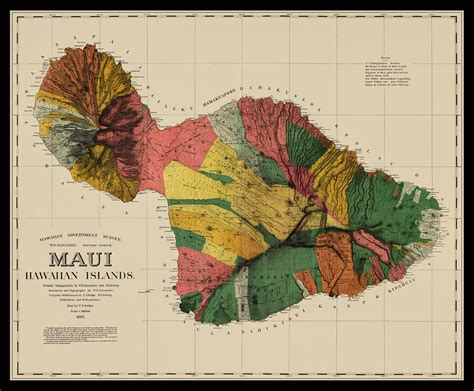 Maui Map Vintage Maui Map 1885 Restored Hawaii Map Maui Etsy