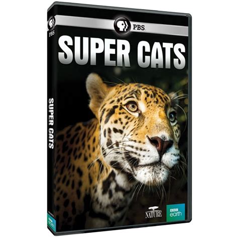 NATURE: Super Cats DVD | Shop.PBS.org