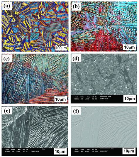 Microstructure Of The As Cast Alloy A Om Without Chemical Etching Download Scientific