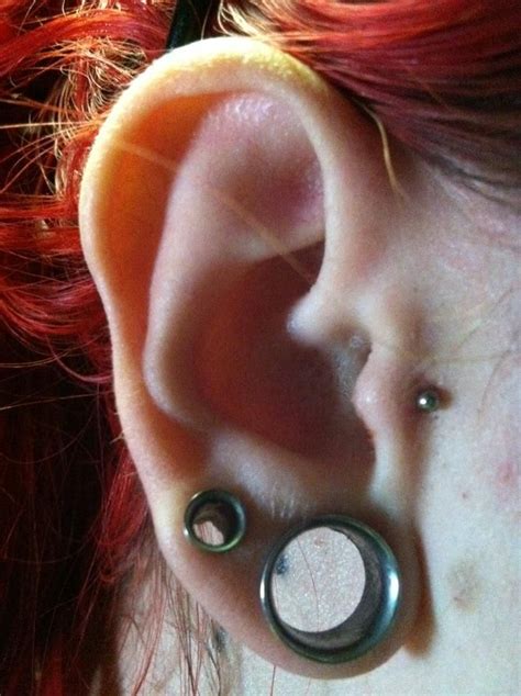 Pierced Tragus Double Gauged Size G Types Of Ear Piercings