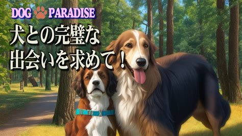 【犬種別の性格分析 】あなたのライフスタイルにぴったりなのはどの犬？衝動買いを避けるための選び方ガイド！ Youtube