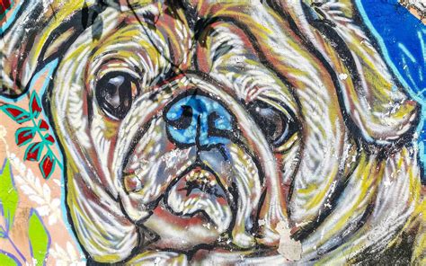 popular animal of mexico 8