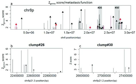 Chromosome P Comprises Genes Predictive Of Metastatic Potential