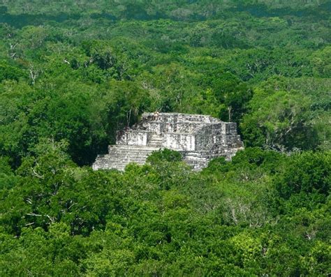 Calakmul El Reino De La Cabeza De Serpiente Tierras Mayas