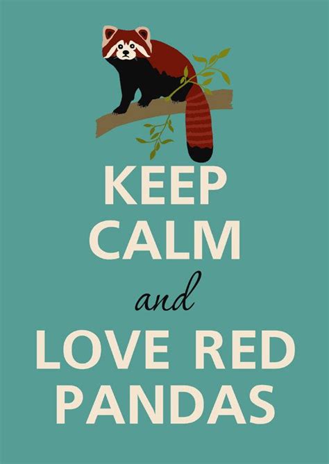 38 Best Fun Facts About Red Pandas Images On Pinterest Red Pandas