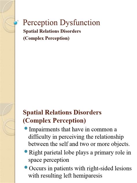 Perceptual Disorders Pdf Parietal Lobe Perception